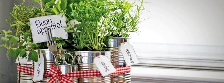Kitchen Herb Garden Ideas