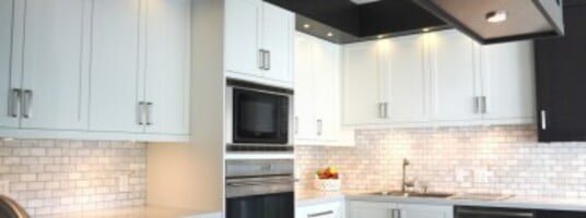 Monochromatic Kitchen Designs