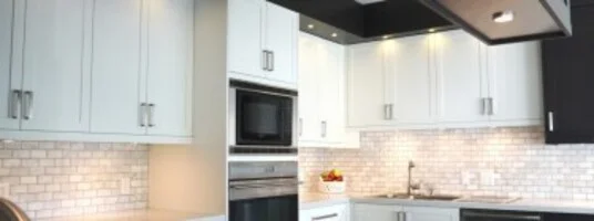 Monochromatic Kitchen Designs