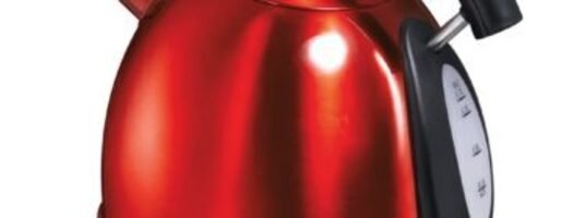 The Electric Tea Kettle with Temperature Control